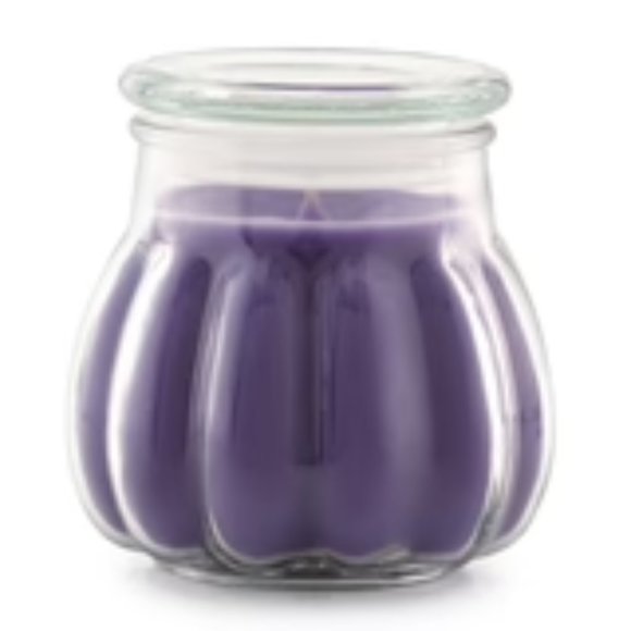 Beautiful Garden jar Candle NEW 17 oz Approx burn time 76 hours Celebrating Home - Picture 1 of 1